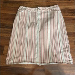 Striped Cato’s Jean Skirt